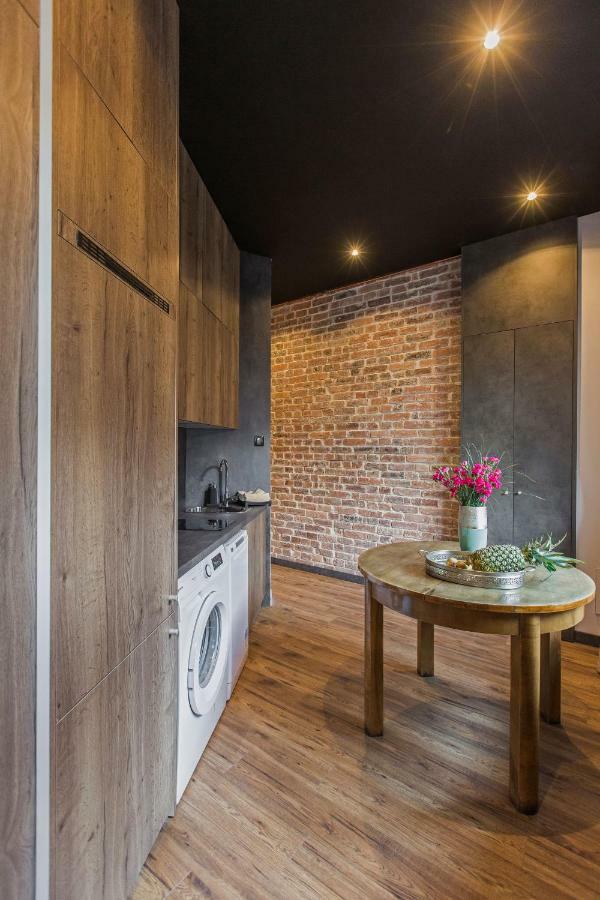 Zillmann Apartment カトヴィツェ エクステリア 写真